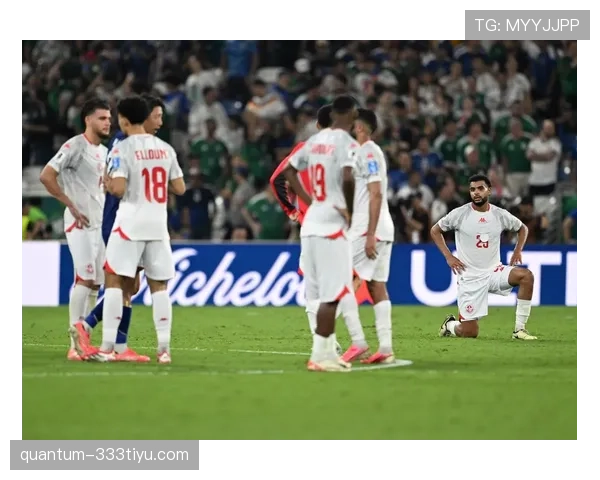 突尼斯世界杯F组出局：三场比赛全部失利